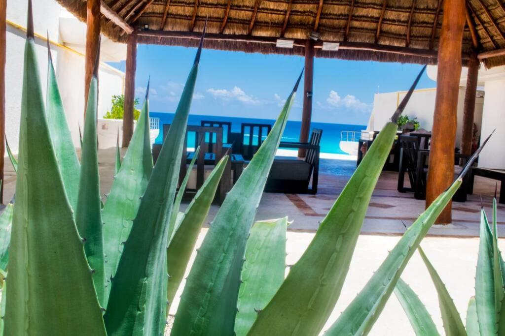 Villas Marlin 108, A Pie De Playa, Albercas, Jacuzi, Ubicacion Inmejorable แคนคูน ภายนอก รูปภาพ
