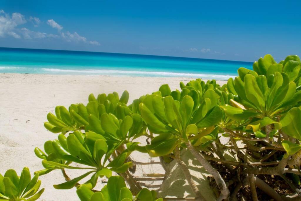 Villas Marlin 108, A Pie De Playa, Albercas, Jacuzi, Ubicacion Inmejorable แคนคูน ภายนอก รูปภาพ